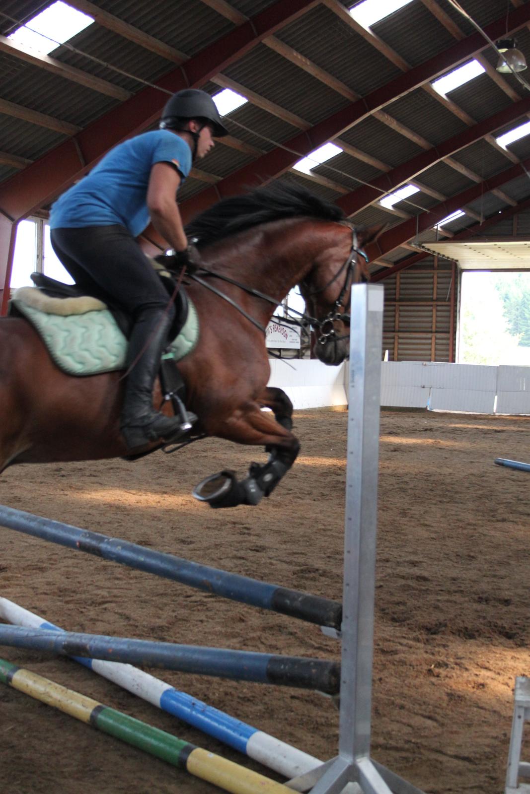 Aprillo - spring og dressur billede 11