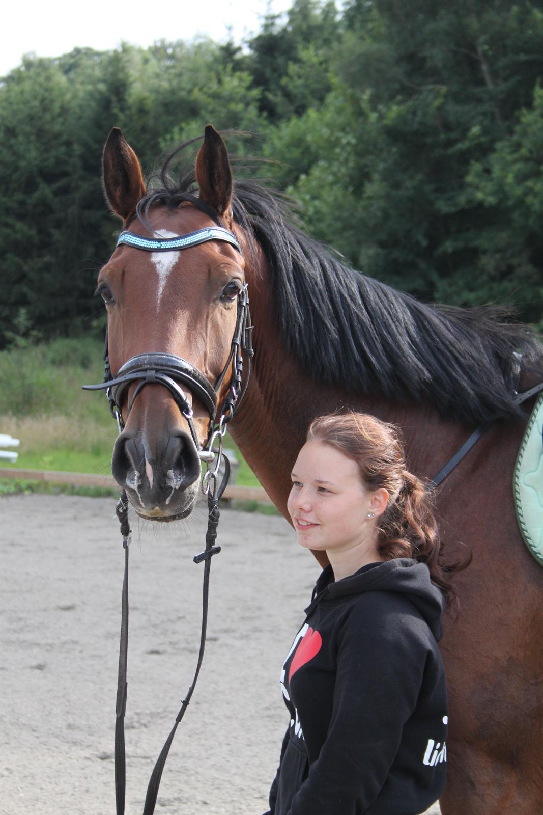 Aprillo - spring og dressur billede 15