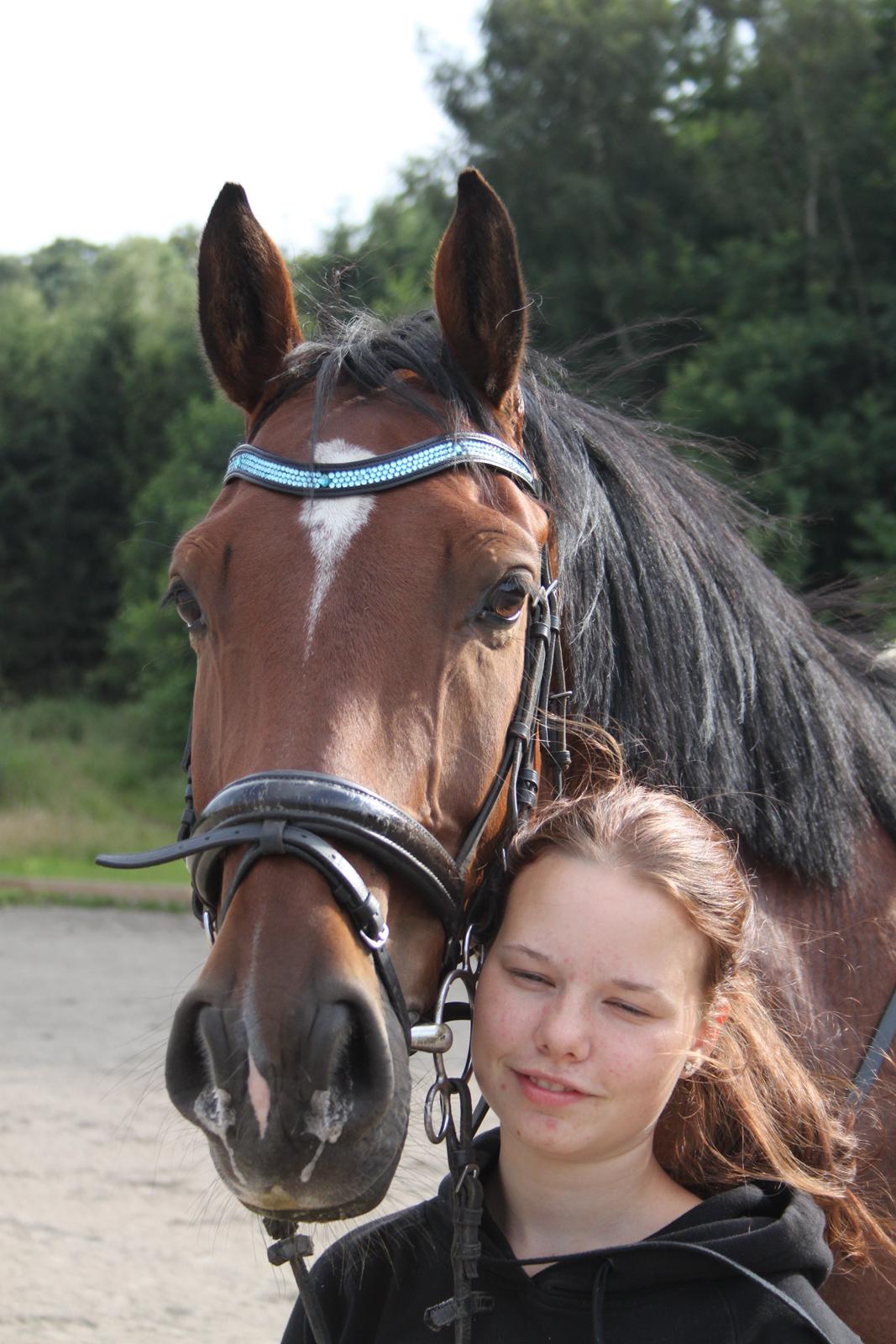 Aprillo - spring og dressur billede 17