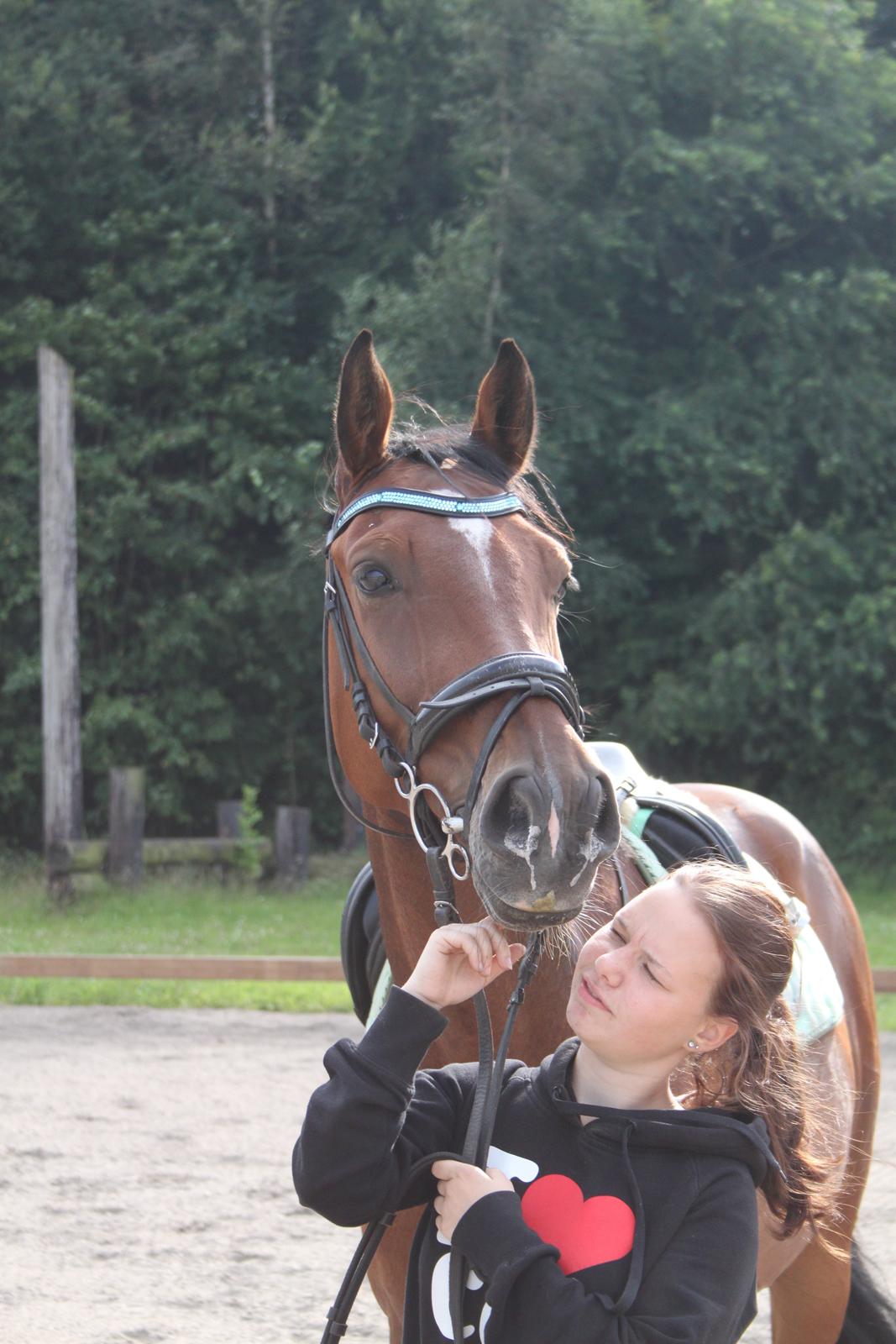 Aprillo - spring og dressur billede 18