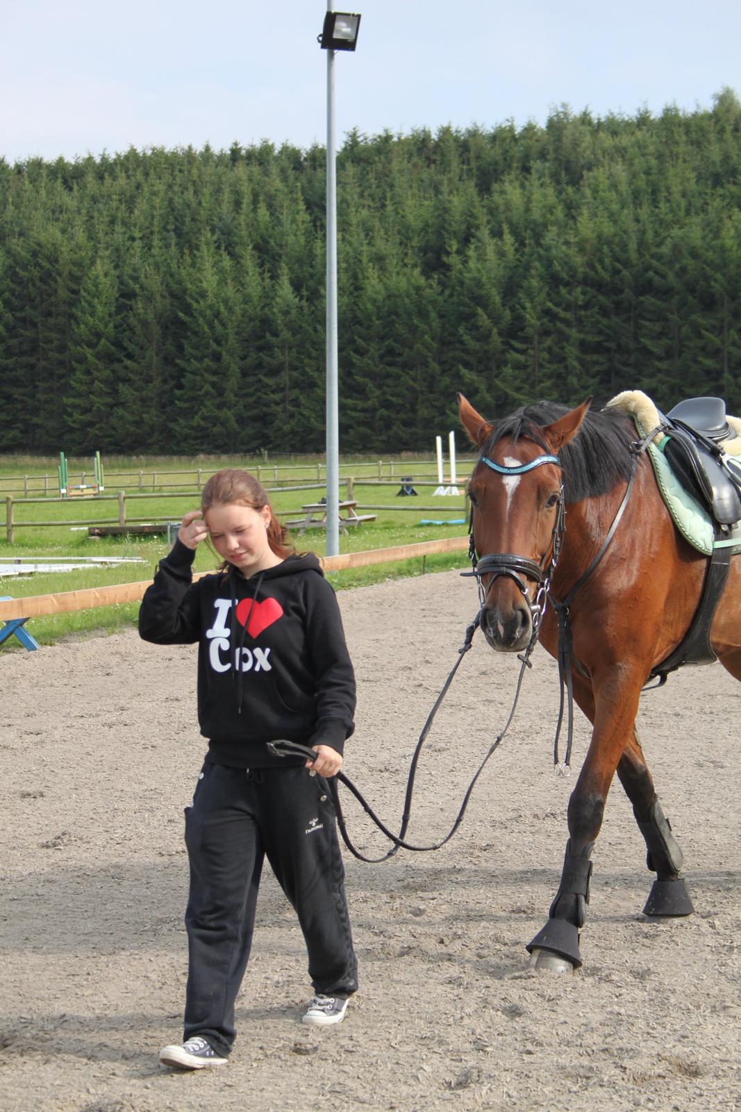 Aprillo - spring og dressur billede 19