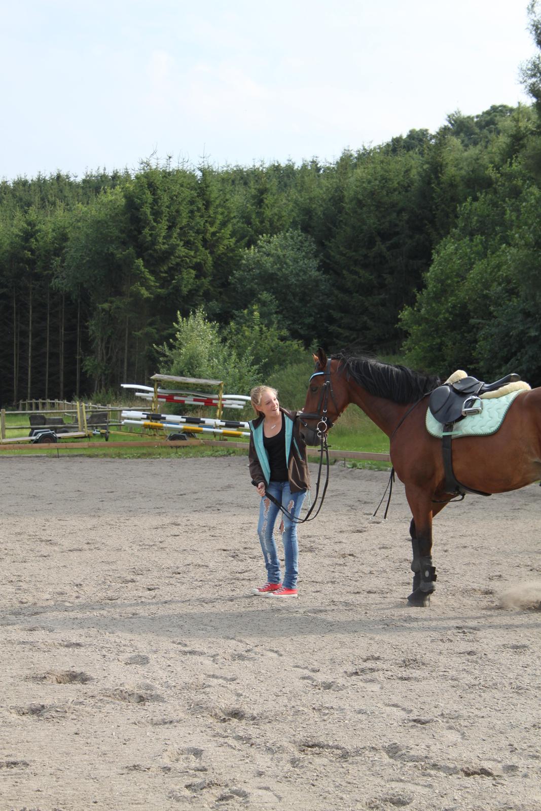 Aprillo - spring og dressur billede 20