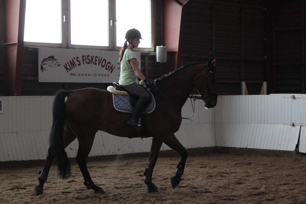 Aprillo - spring og dressur billede 22