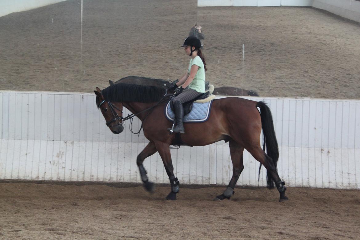 Aprillo - spring og dressur billede 24