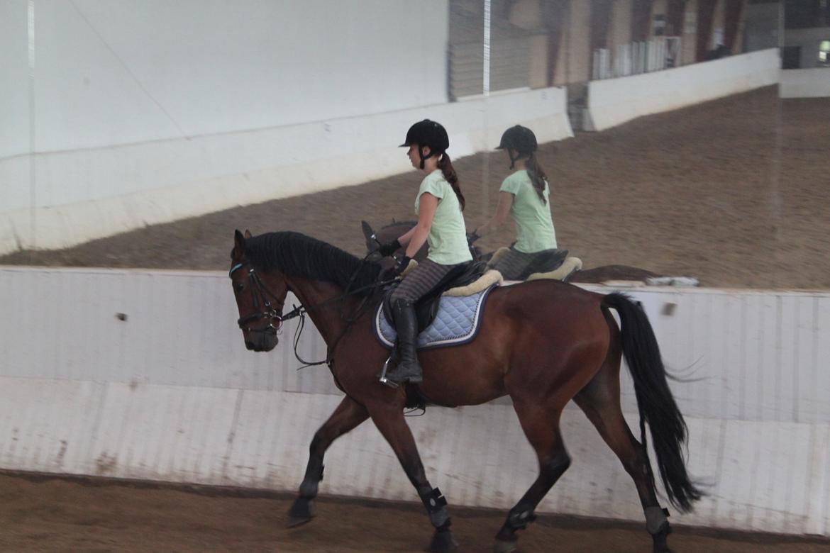 Aprillo - spring og dressur billede 27