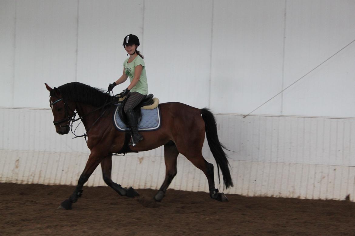 Aprillo - spring og dressur billede 29