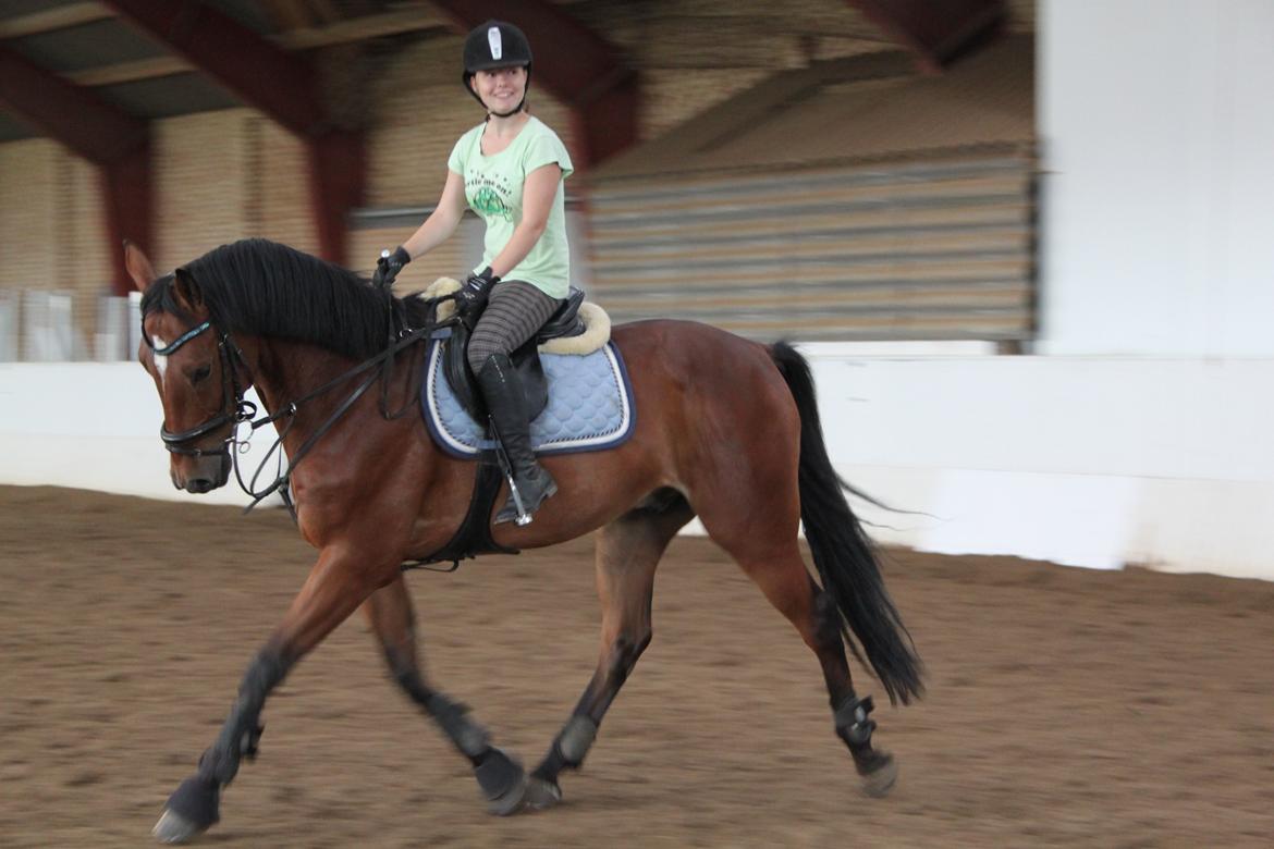 Aprillo - spring og dressur billede 30