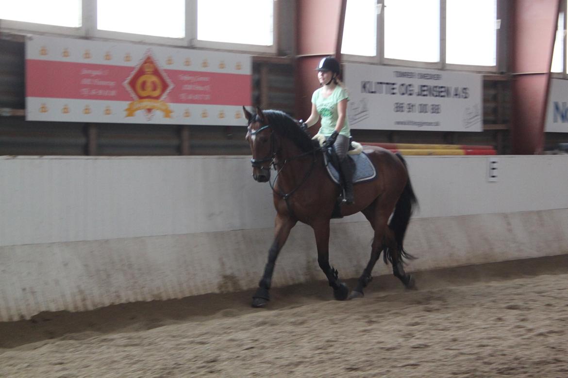 Aprillo - spring og dressur billede 32