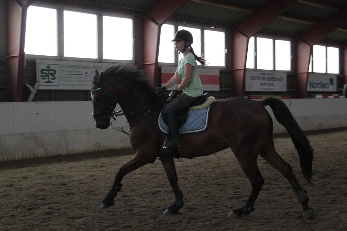 Aprillo - spring og dressur billede 33