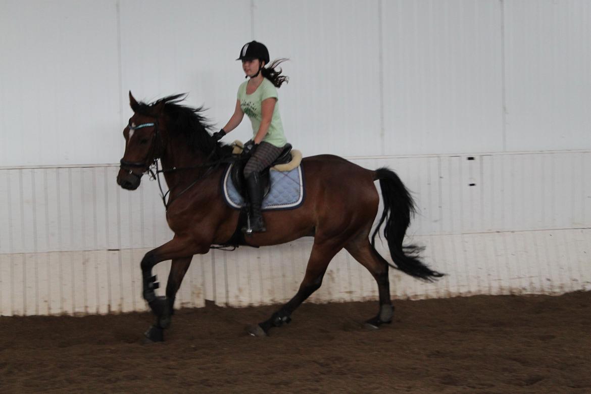 Aprillo - spring og dressur billede 35