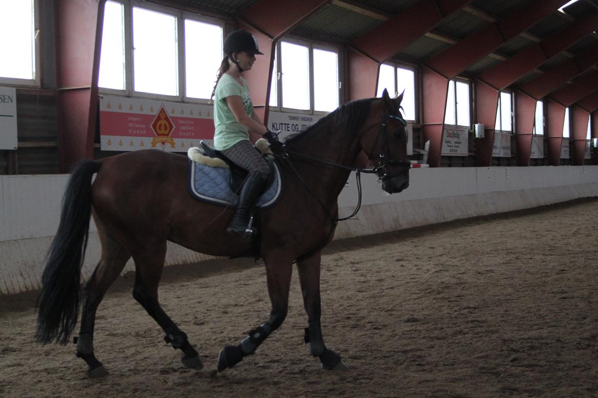 Aprillo - spring og dressur billede 36