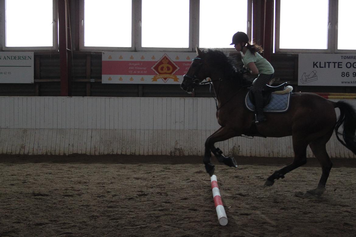 Aprillo - spring og dressur billede 43