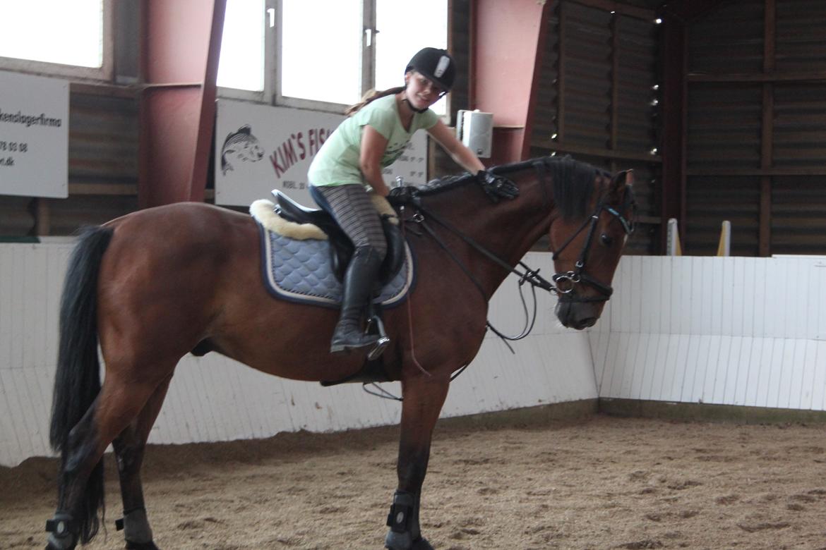 Aprillo - spring og dressur billede 47