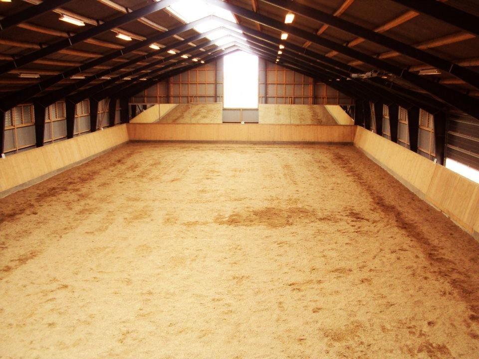 Sophienholm Hestepension - Vores skønne ridehus. billede 5