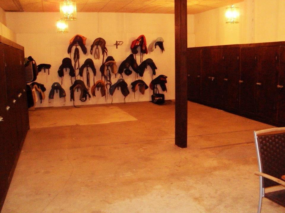 Sophienholm Hestepension - Vores splinternye sadelrum. Super lækkert! billede 6