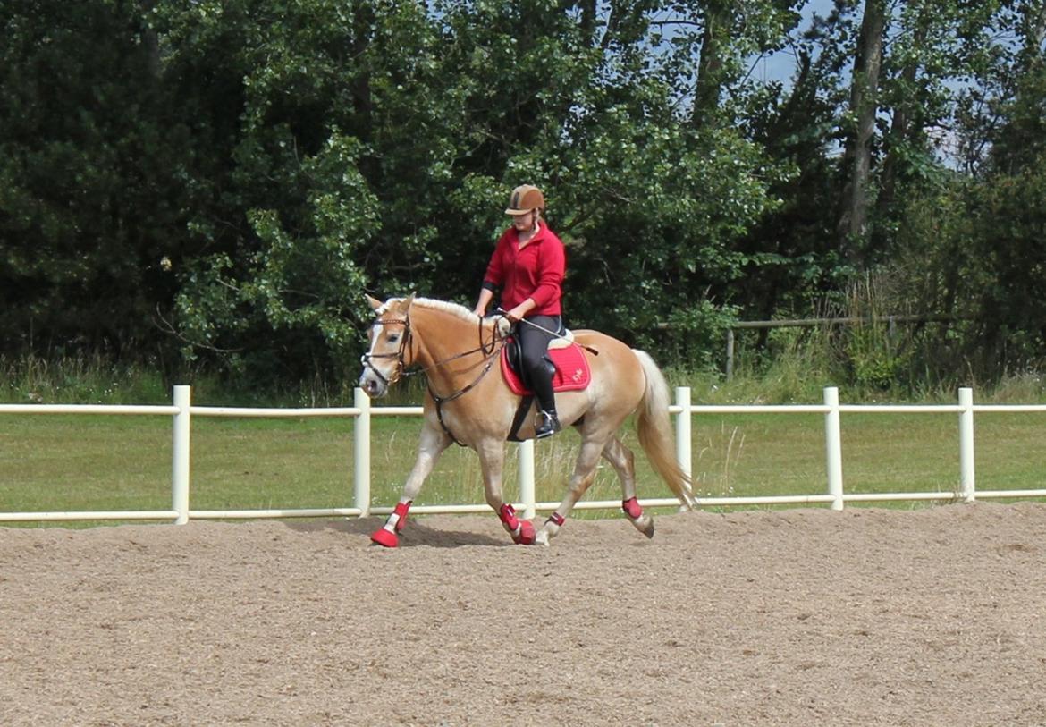 Trænig med kylle rylle i OHR :) billede 1