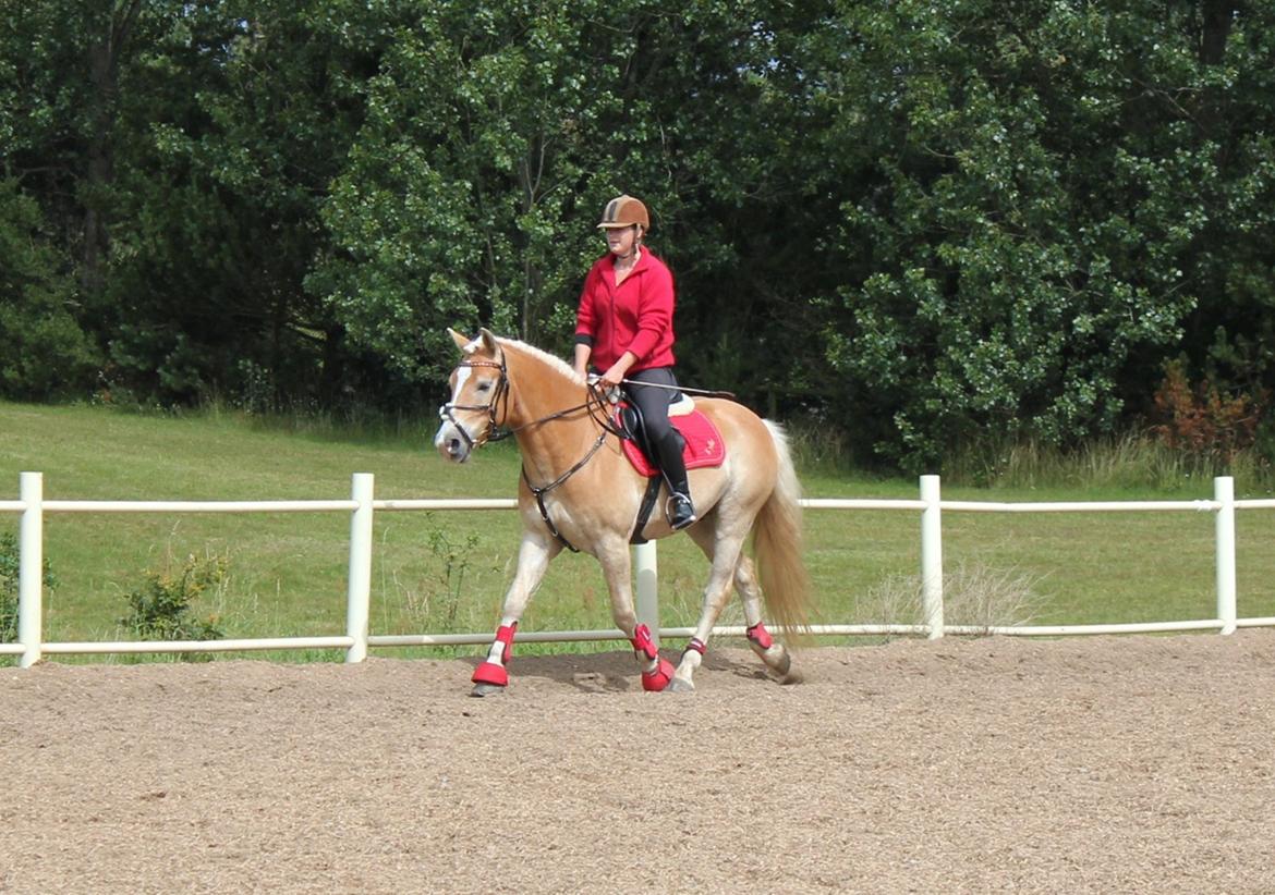 Trænig med kylle rylle i OHR :) billede 2