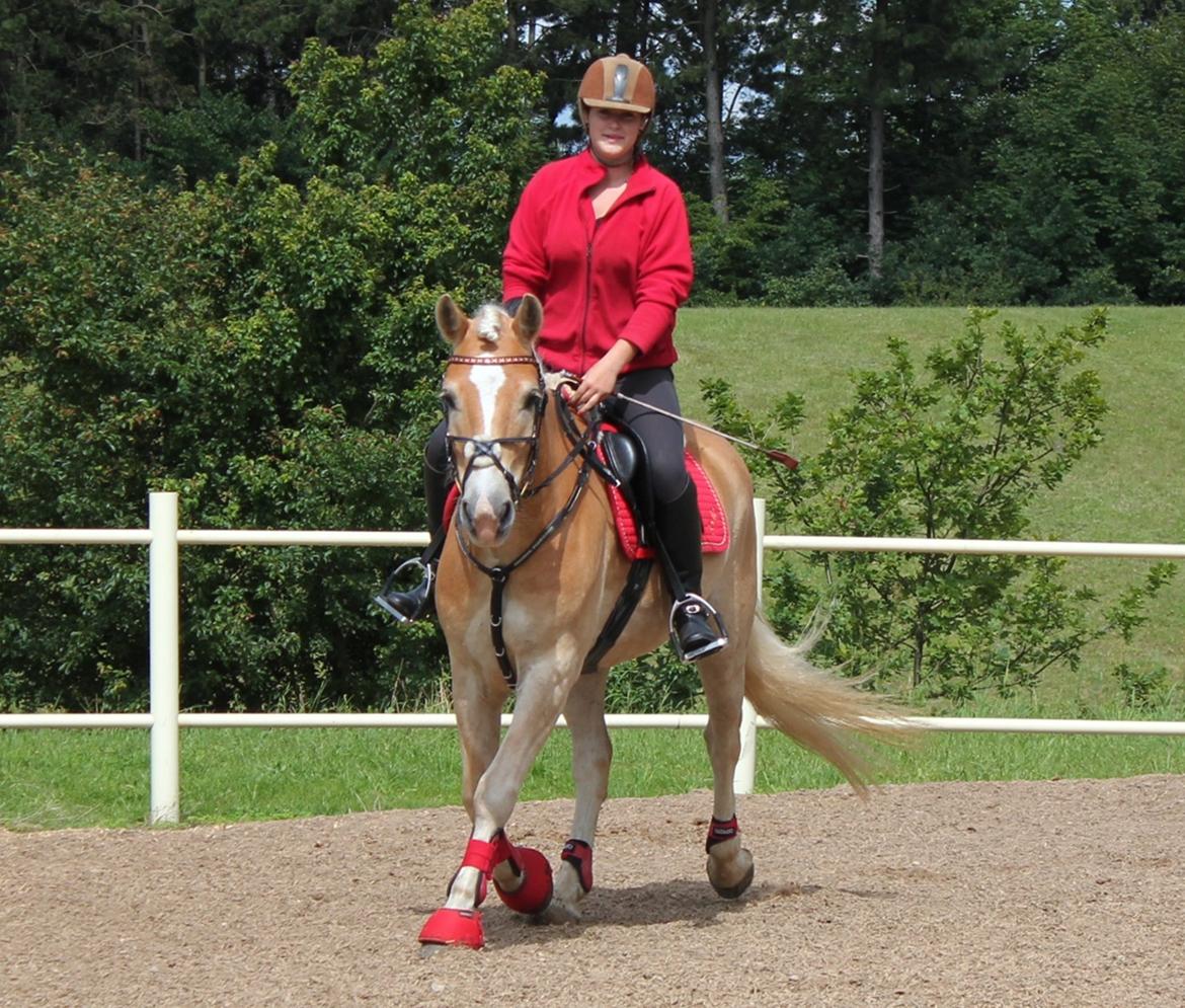 Trænig med kylle rylle i OHR :) billede 3