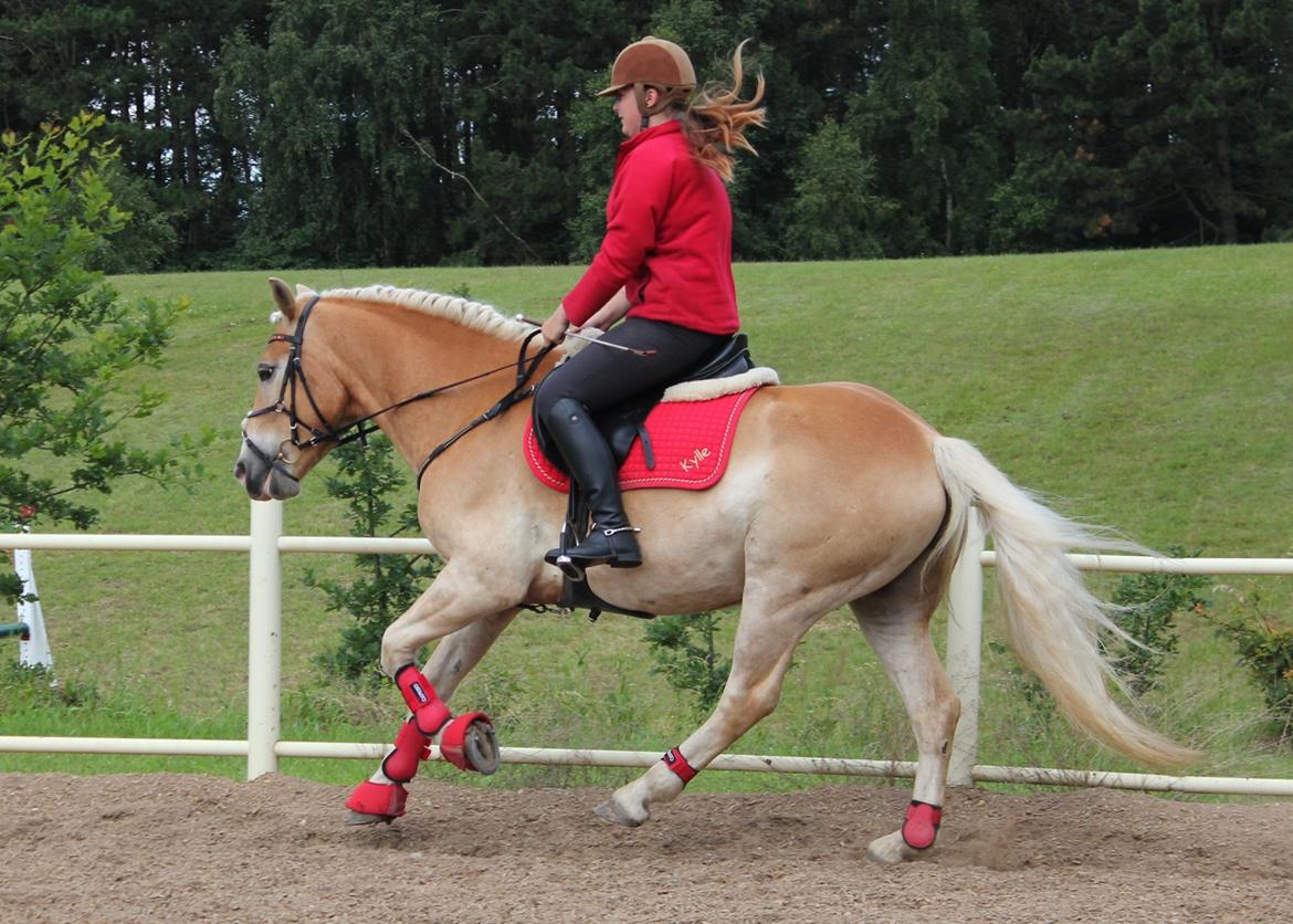 Trænig med kylle rylle i OHR :) billede 4