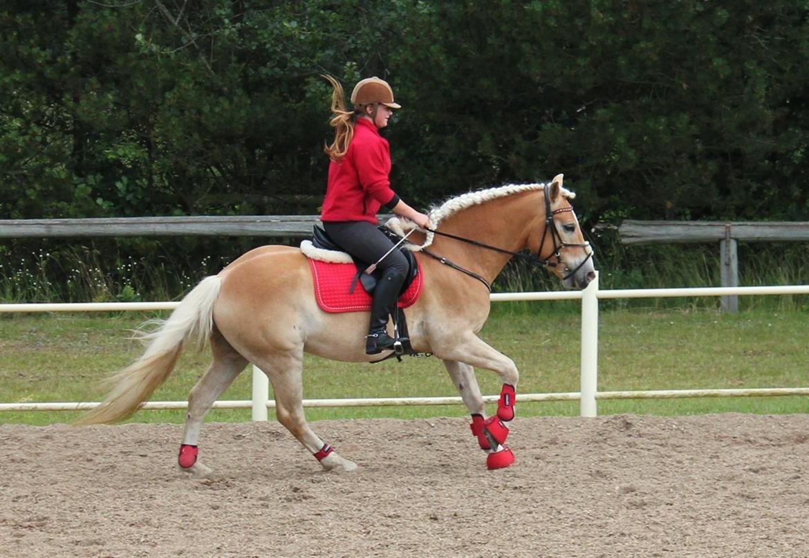 Trænig med kylle rylle i OHR :) billede 5