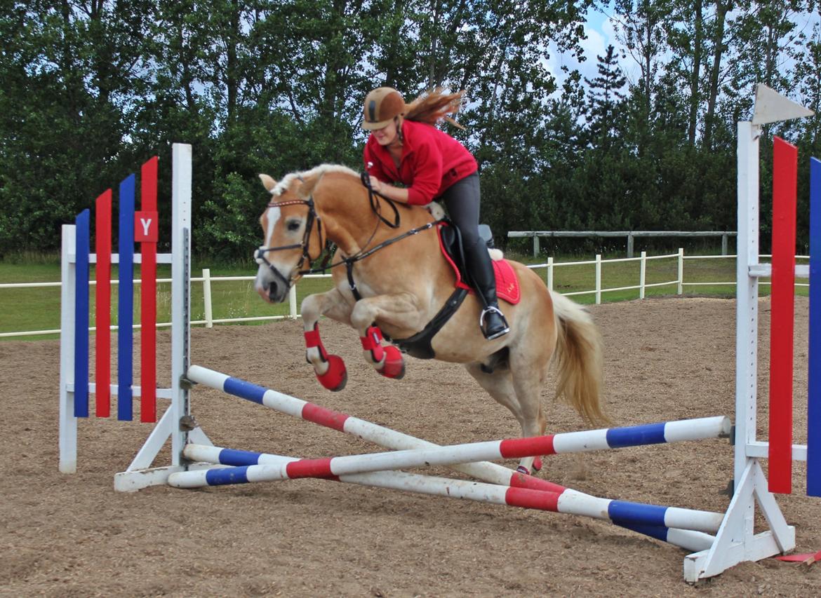 Trænig med kylle rylle i OHR :) billede 6