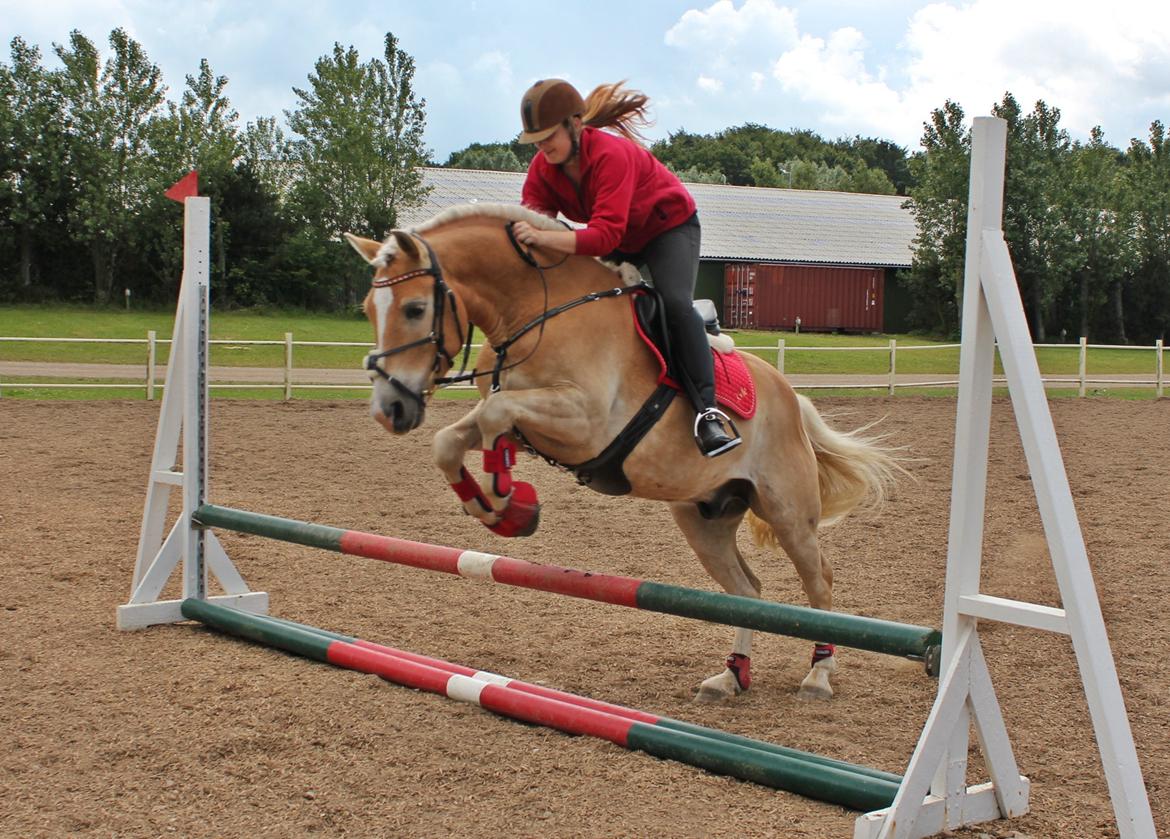 Trænig med kylle rylle i OHR :) billede 7