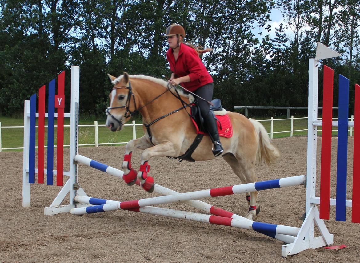 Trænig med kylle rylle i OHR :) billede 8