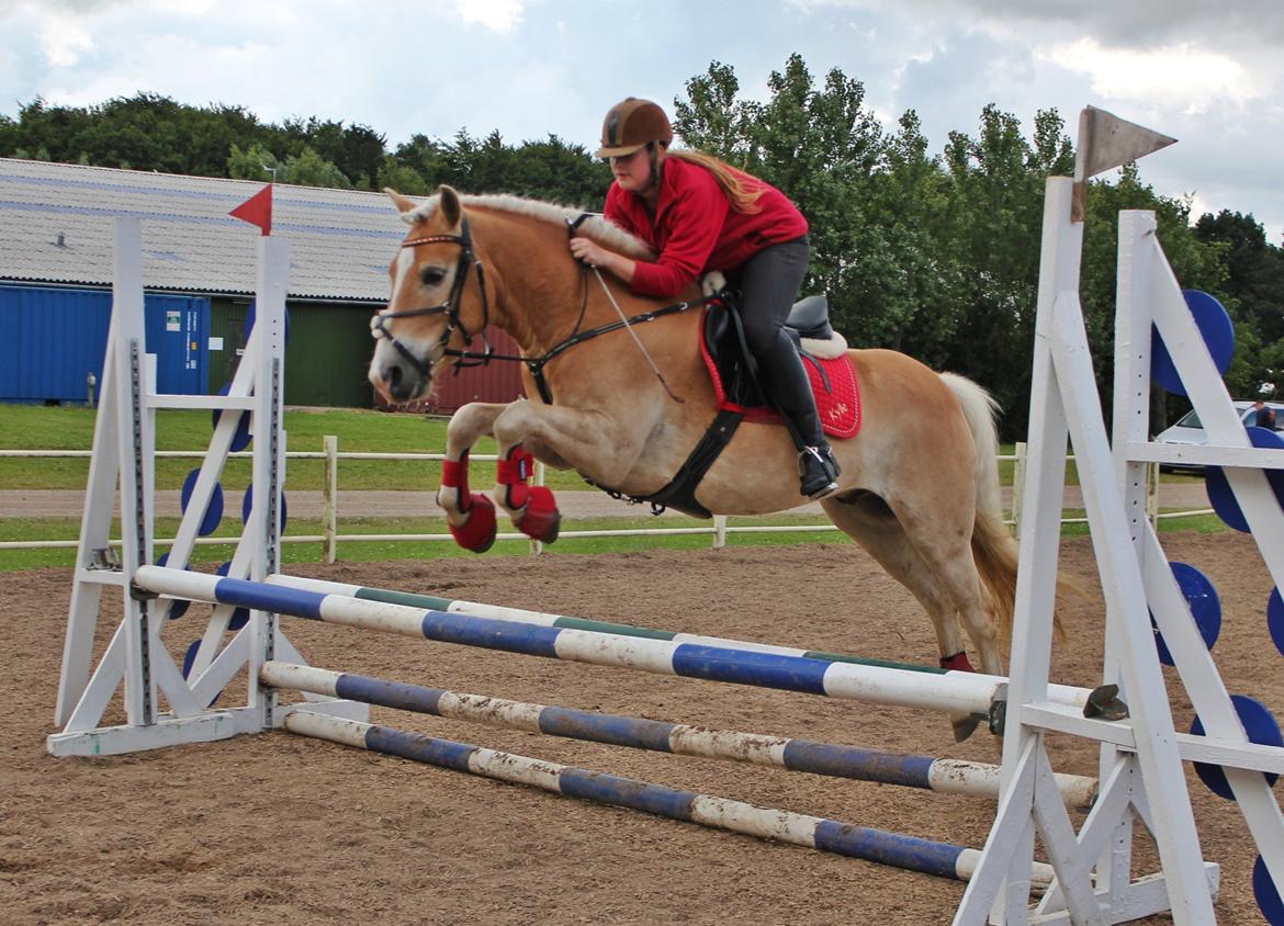 Trænig med kylle rylle i OHR :) billede 9