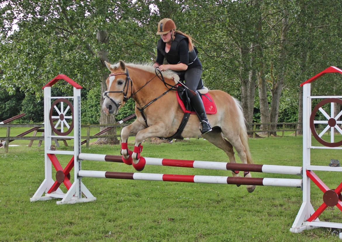 Trænig med kylle rylle i OHR :) billede 10