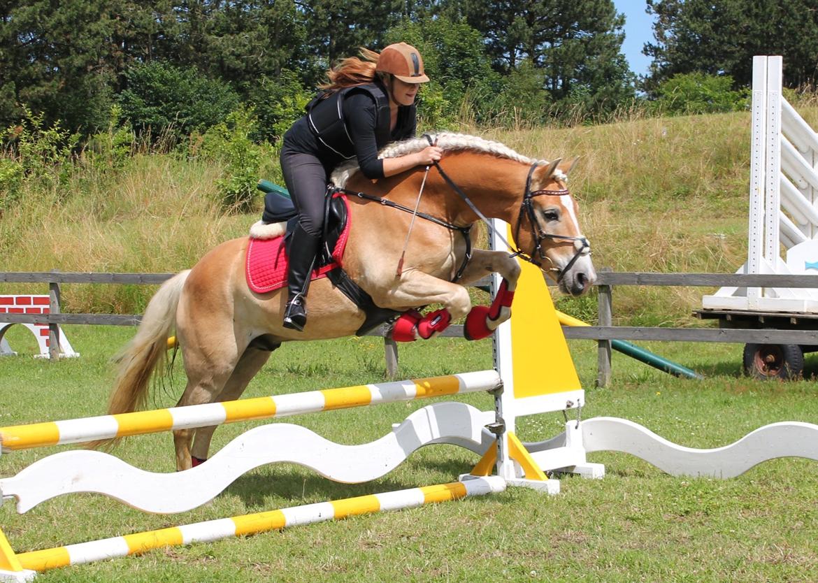 Trænig med kylle rylle i OHR :) billede 11