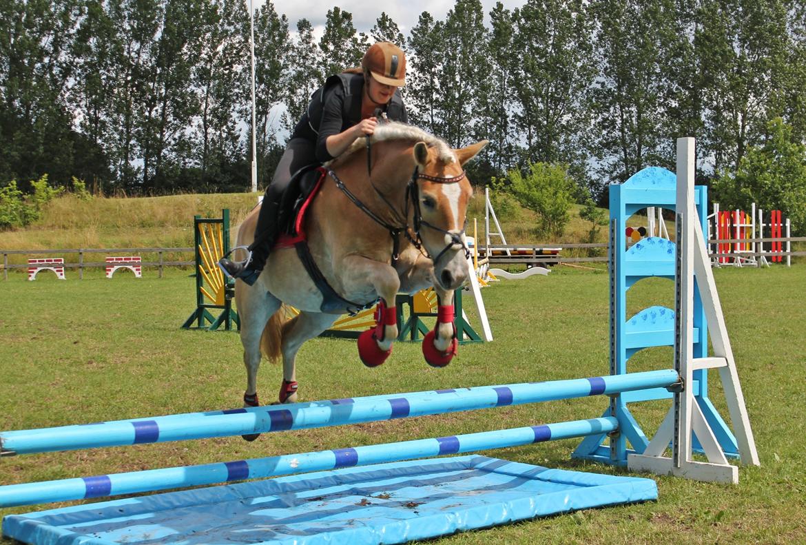 Trænig med kylle rylle i OHR :) billede 12