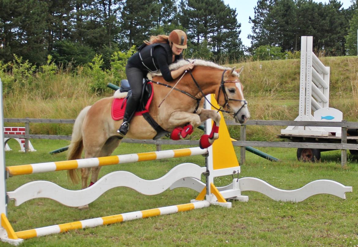 Trænig med kylle rylle i OHR :) billede 13