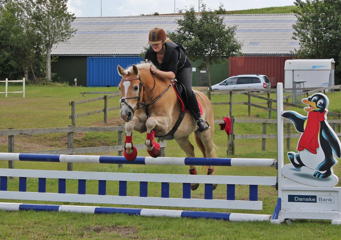 Trænig med kylle rylle i OHR :) billede 14