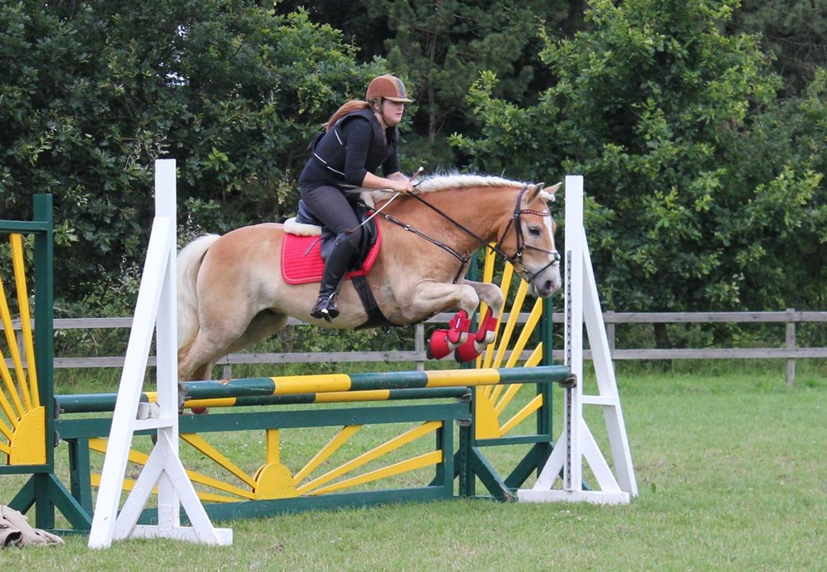 Trænig med kylle rylle i OHR :) billede 15