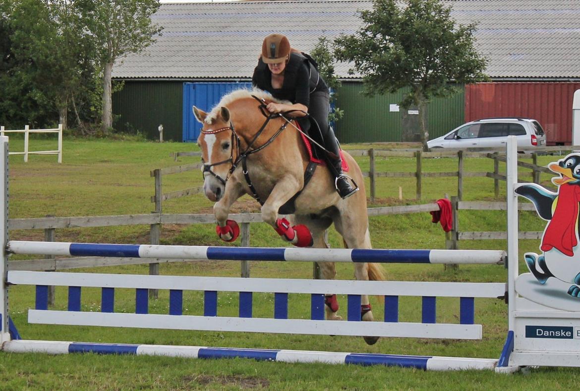 Trænig med kylle rylle i OHR :) billede 16