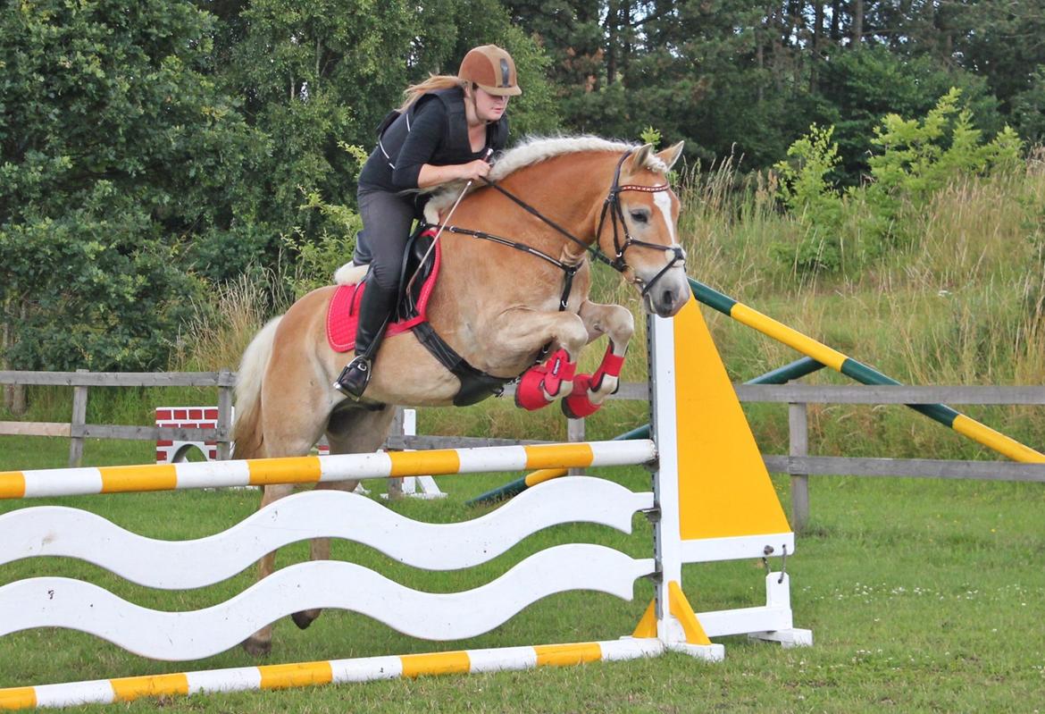 Trænig med kylle rylle i OHR :) billede 17