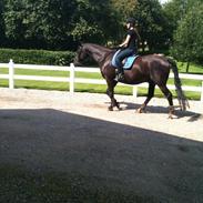 4 mål er nået på en dag! :D <3