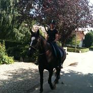 4 mål er nået på en dag! :D <3