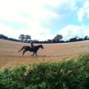 4 mål er nået på en dag! :D <3