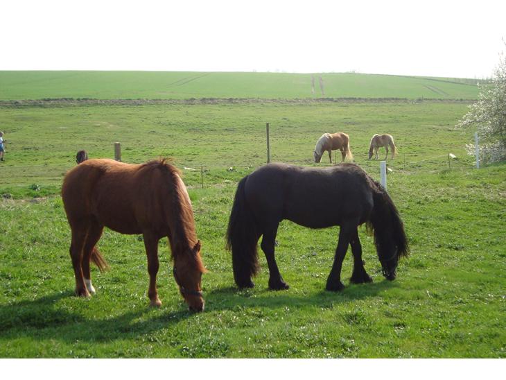 {{currentPhoto.altText}} billede {{currentPhoto.number}}