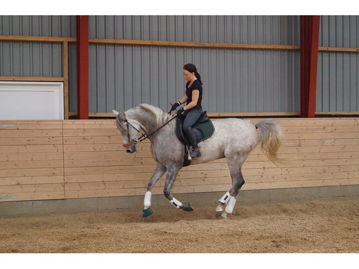 {{currentPhoto.altText}} billede {{currentPhoto.number}}