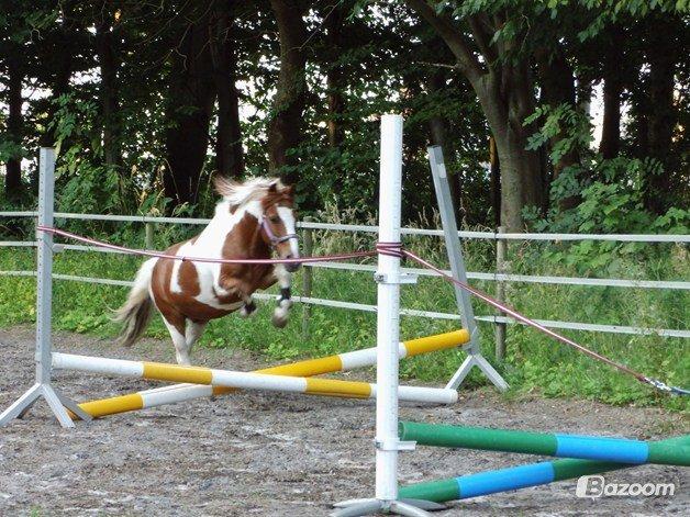 Sommersjov - Kan over springet billede 5