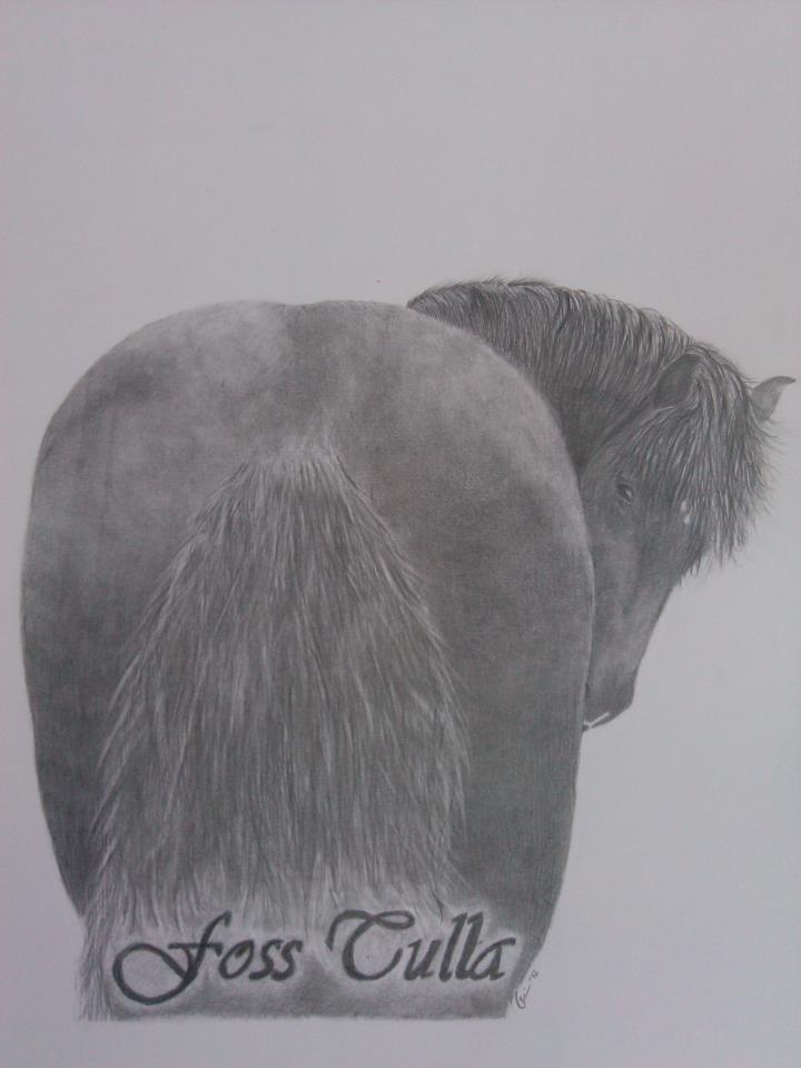 Mine tegninger - BESTILLING - Foss Tulla - udført på A4 - Skulle bruges til en fødselsdagsgave - modtager blev så glad at hun måtte fælde en tårre eller 2 billede 27