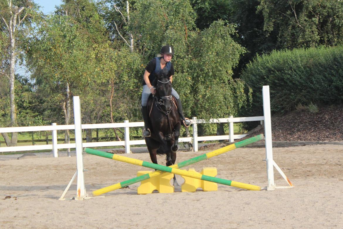 Spring træning Fauerbirk billede 1