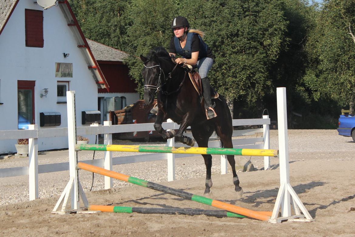 Spring træning Fauerbirk billede 2