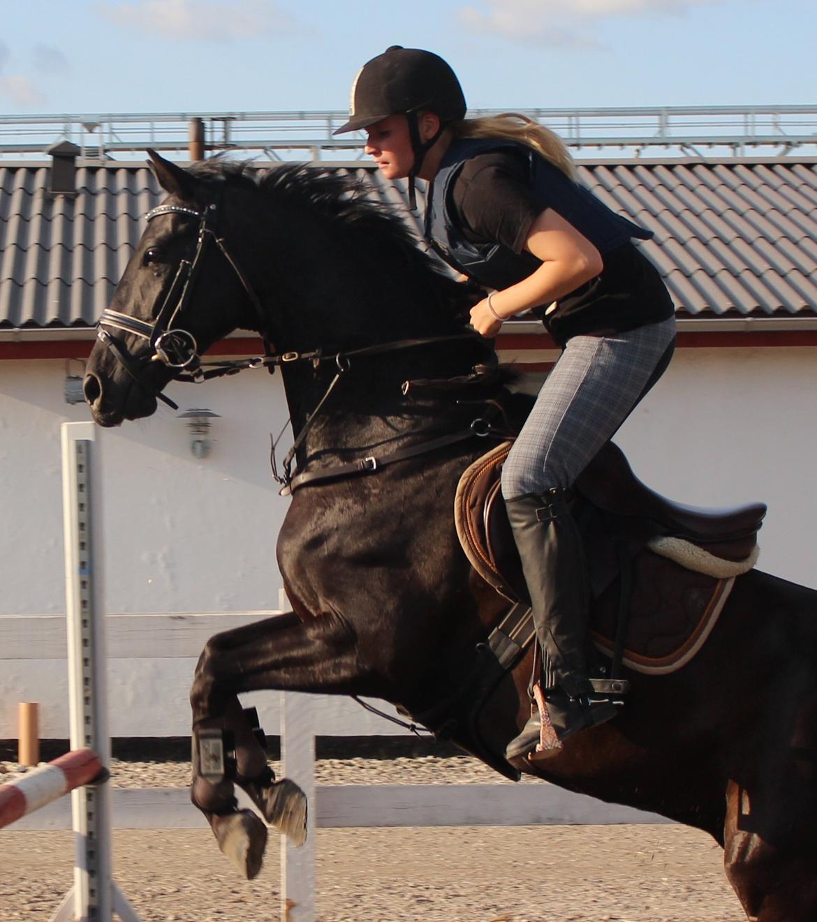 Spring træning Fauerbirk billede 3