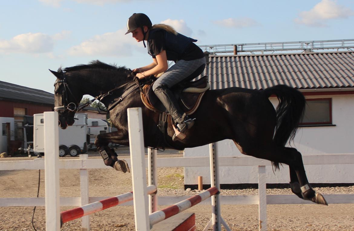 Spring træning Fauerbirk billede 4