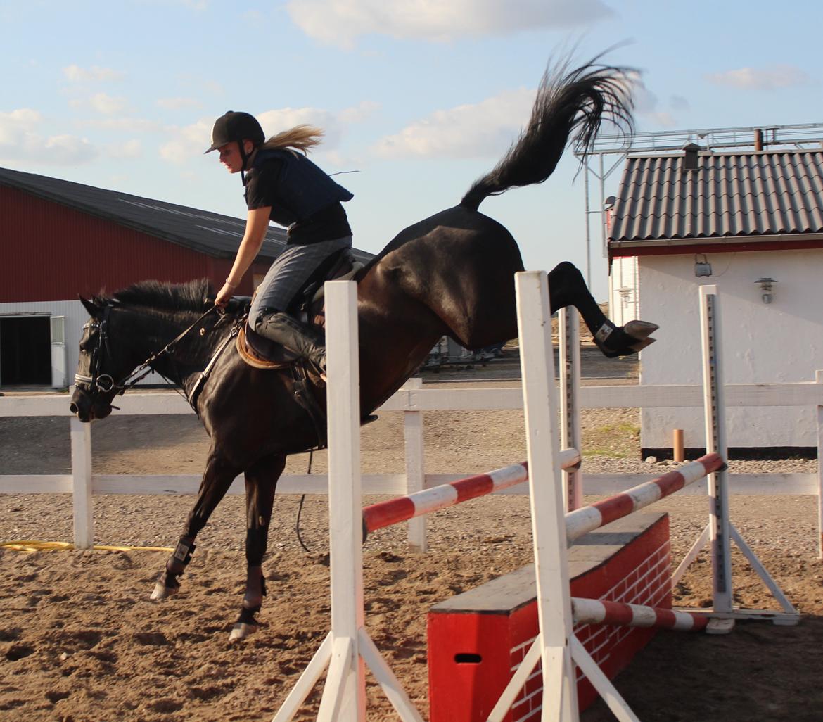 Spring træning Fauerbirk billede 5