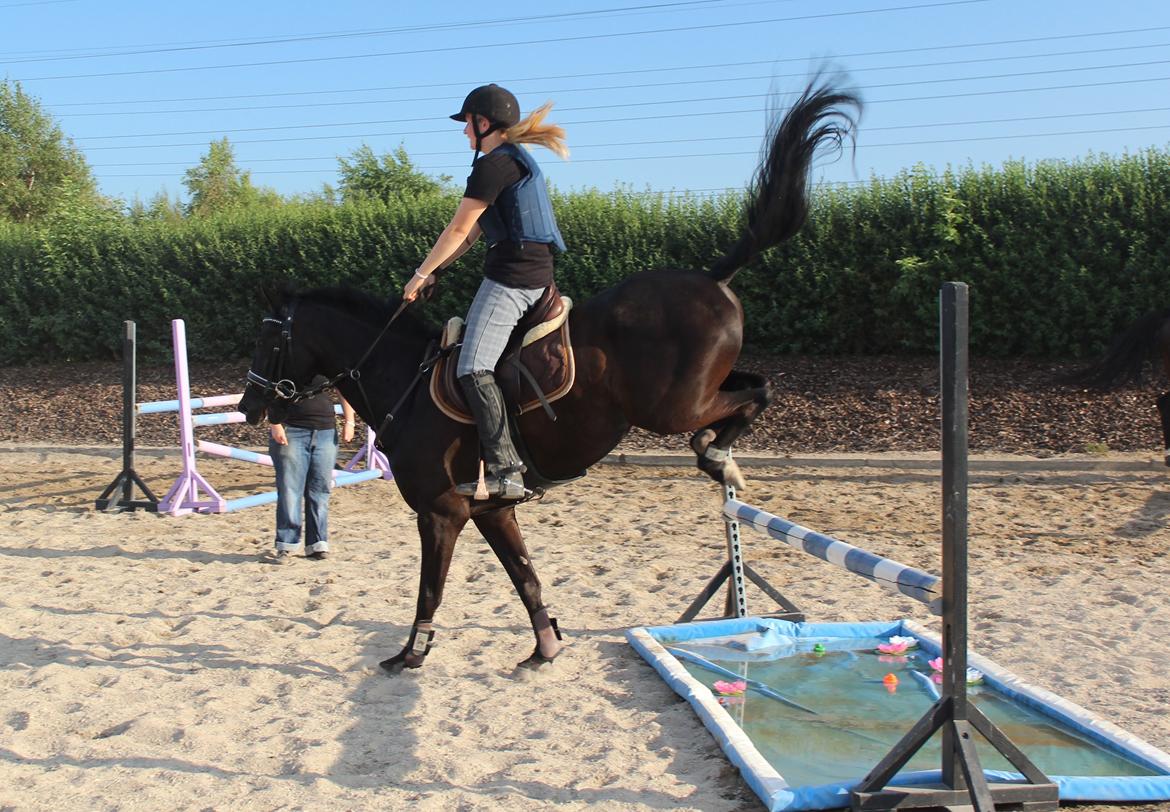 Spring træning Fauerbirk billede 6