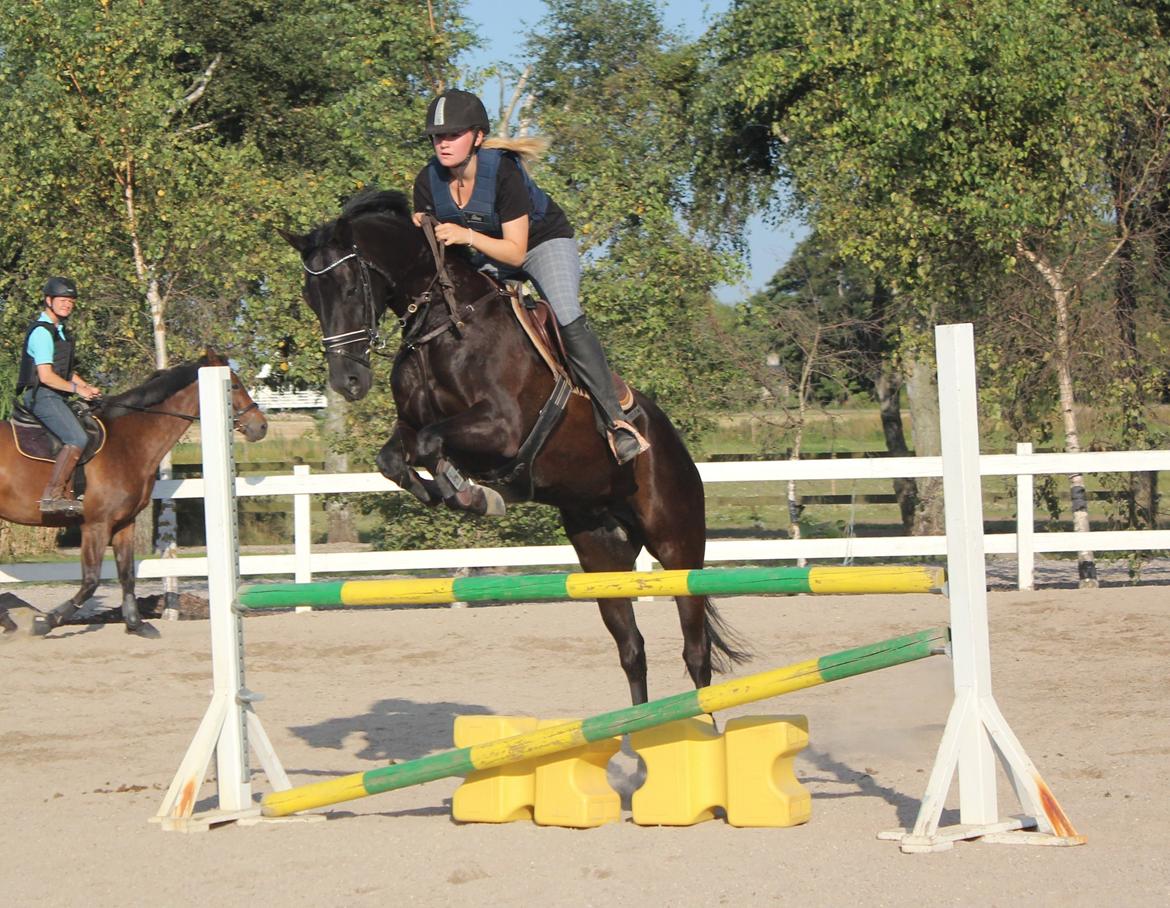 Spring træning Fauerbirk billede 7